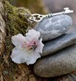 Josy - Skatkarten - Beruf & Arbeitsleben - Spirituelles Heilen - Arbeitslosigkeit - Psychologische Lebensberatung