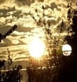 Simone-Alysha-Shama - Jenseitskontakte - sonstige Bereiche - Hellsehen mit Hilfsmittel - Astrologie & Horoskope - Medium & Channeling