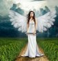 Shelly - Orakelkarten - Medium & Channeling - Hellsehen ohne Hilfsmittel - Lenormandkarten - Hellsehen & Wahrsagen