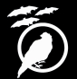 Iconalunis - 