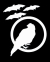 Iconalunis