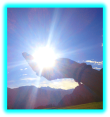 Athina - sonstige Bereiche - Tarot & Kartenlegen - Tierkommunikation - Aura-Reinigung - Lichtarbeit