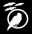 Iconalunis - 