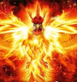 PHOENIX - Tierkommunikation - Familienaufstellung - Lichtarbeit - Arbeitslosigkeit - sonstige Bereiche