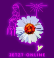Iconalunis - 