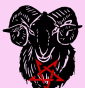 Iconalunis - 