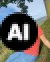 Medium Anita
